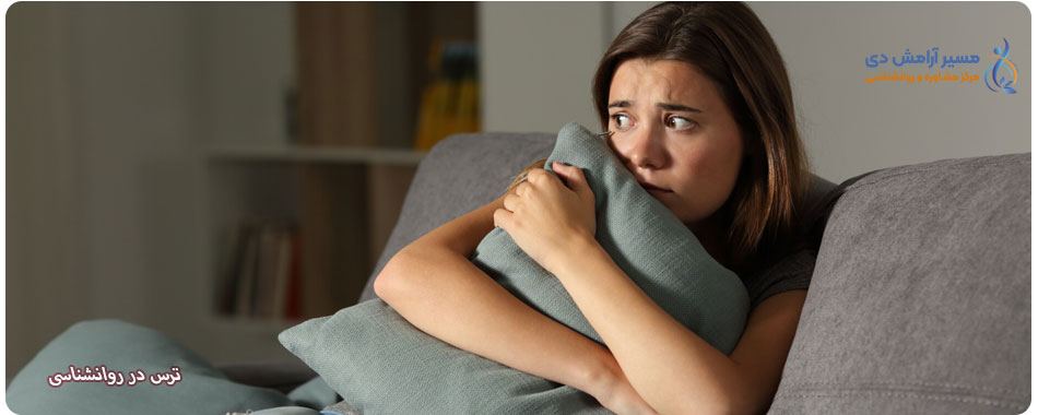 ترس در روانشناسی: چگونه ترس را بشناسیم و کنترل کنیم؟ 2 وحشت در روانشناسی
