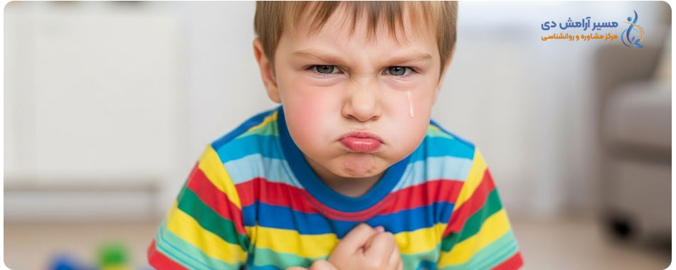 راهنمای جامع مدیریت هیجانات منفی در کودکان: ابزارهای کلیدی والدین برای آرامش خانه 4 پرخاشگری کودکان