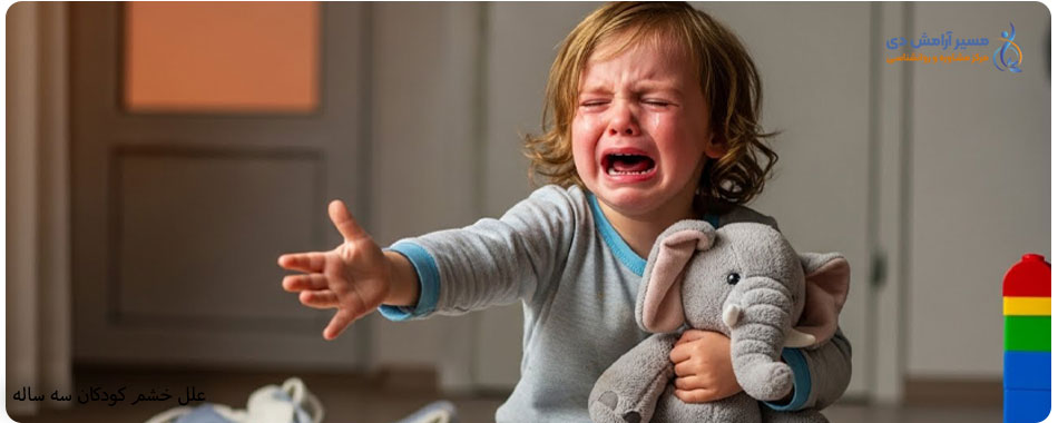 از آشوب تا آرامش: راهنمای جامع مدیریت خشم کودکان ۳ ساله 2 علل خشم کودکان 3 ساله