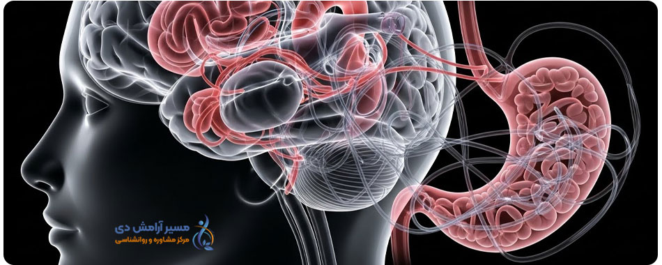 روانشناسی بالینی چیست؟ ۷ وظیفه اصلی و مراحل درمان تخصصی 5 درمان بیماریهای روانتنی توسط روانشناس بالینی